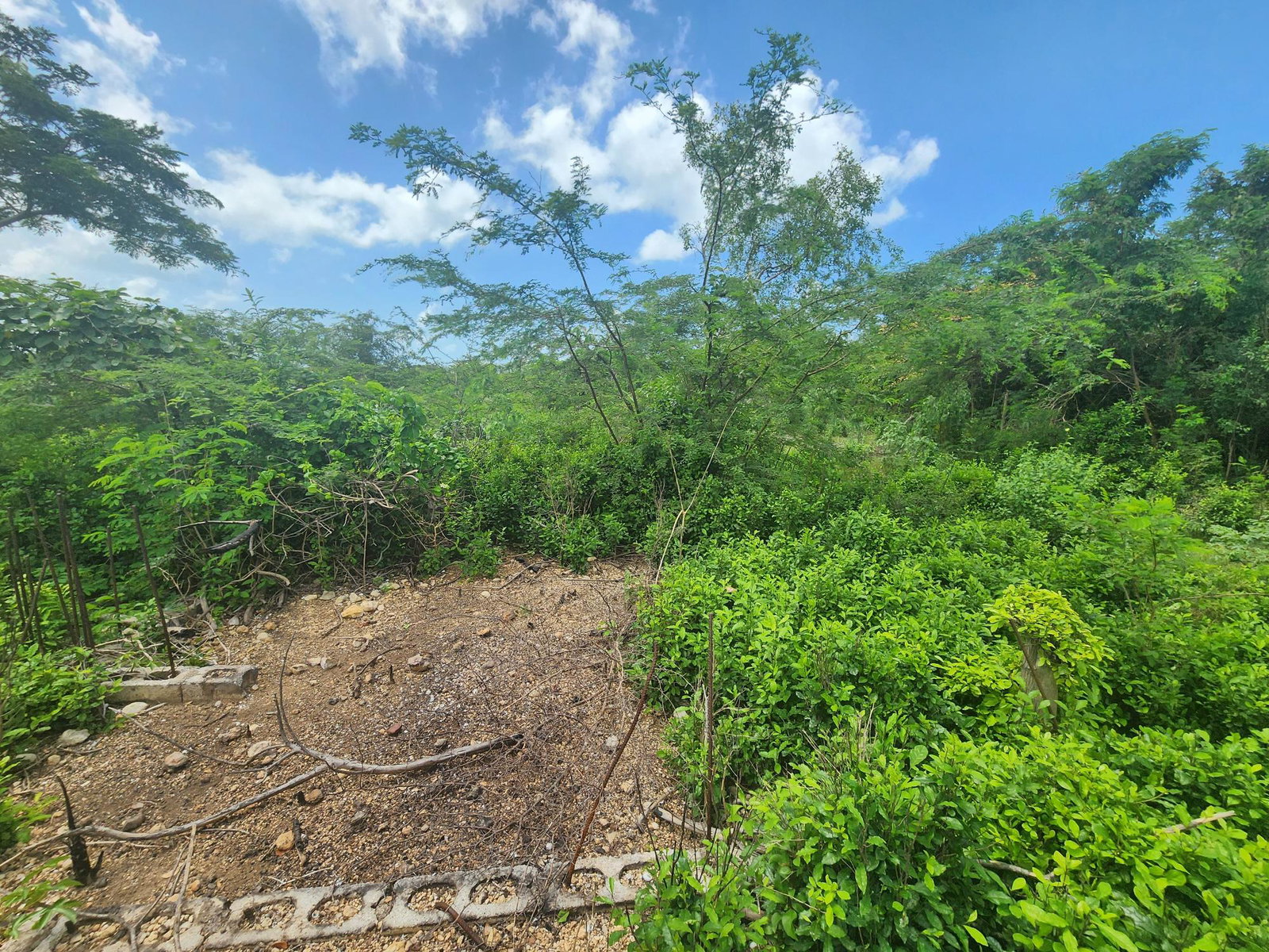 Dream-Home-Opportunity-in-Rosehall-Clarendon-34-Acre-Lot-for-Sale Twenty-Fourth image of 111 Rosehall Boulevard in Freetown, Clarendon, Jamaica - property is For Sale