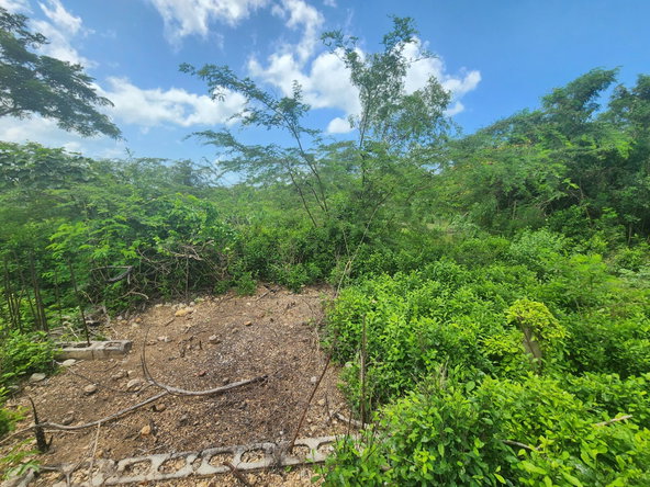 Twenty-Fourth image of 111 Rosehall Boulevard in Freetown, Clarendon, Jamaica - property is For Sale