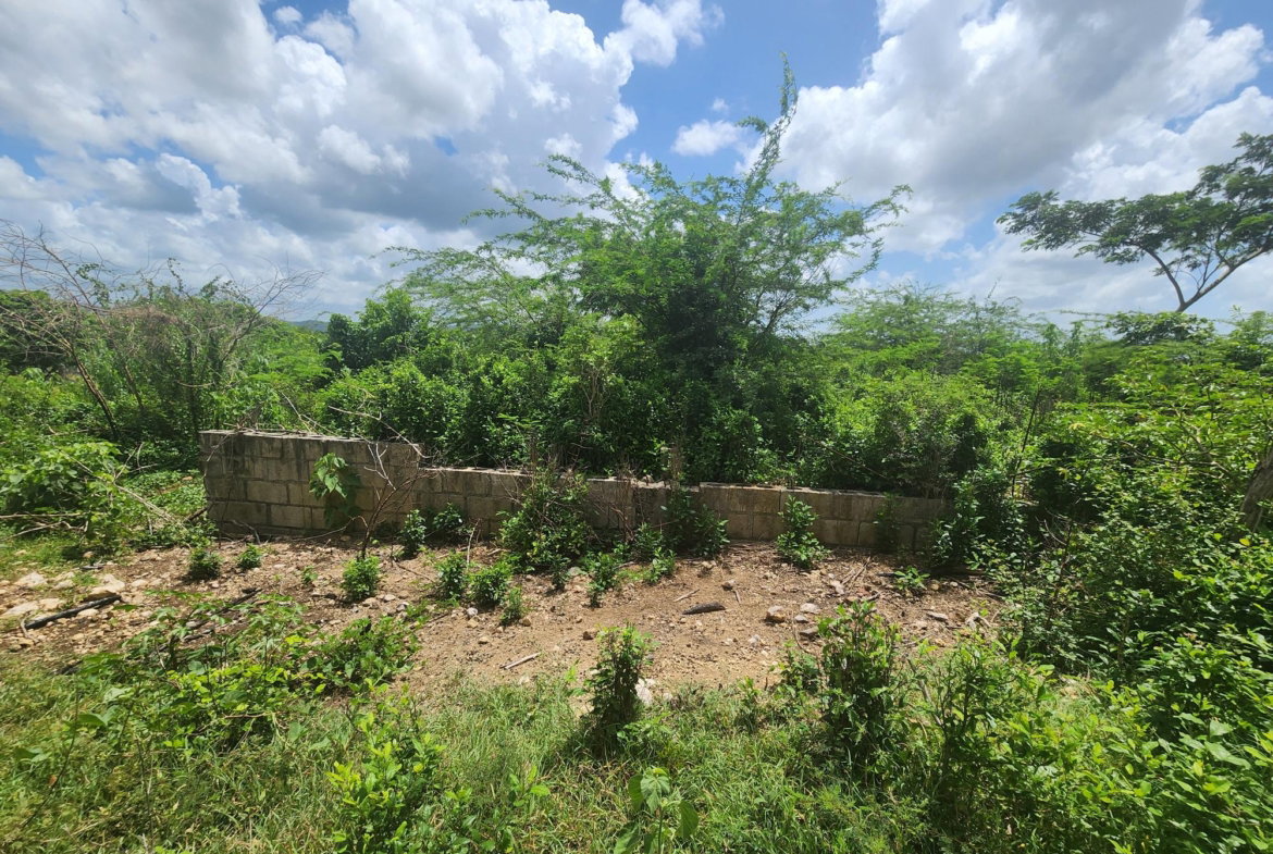 Twenty-Fifth image of 111 Rosehall Boulevard in Freetown, Clarendon, Jamaica - property is For Sale