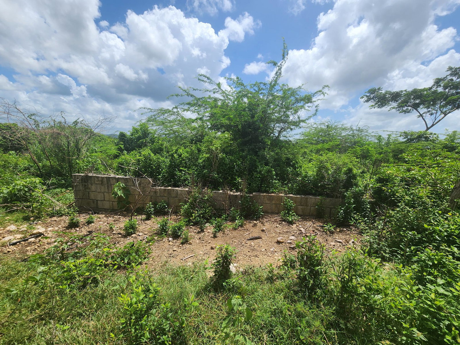Dream-Home-Opportunity-in-Rosehall-Clarendon-34-Acre-Lot-for-Sale Twenty-Fifth image of 111 Rosehall Boulevard in Freetown, Clarendon, Jamaica - property is For Sale
