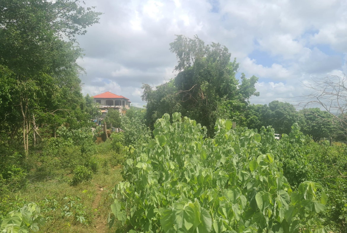 Twenty-Sixth image of 111 Rosehall Boulevard in Freetown, Clarendon, Jamaica - property is For Sale