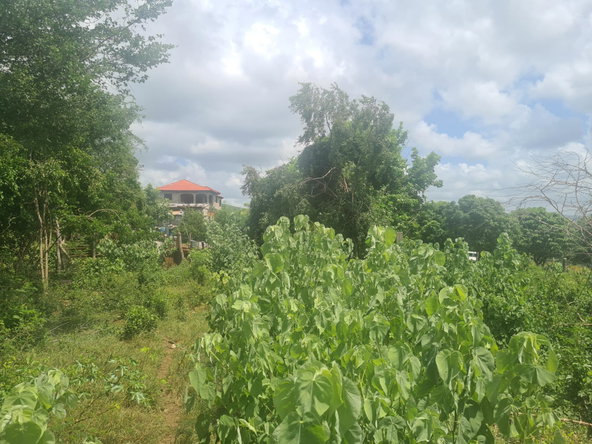 Twenty-Sixth image of 111 Rosehall Boulevard in Freetown, Clarendon, Jamaica - property is For Sale