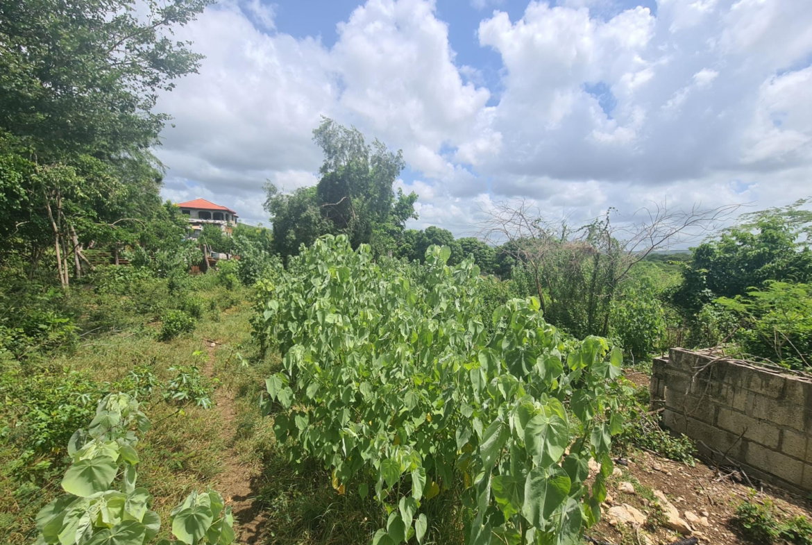 Twenty-Seventh image of 111 Rosehall Boulevard in Freetown, Clarendon, Jamaica - property is For Sale