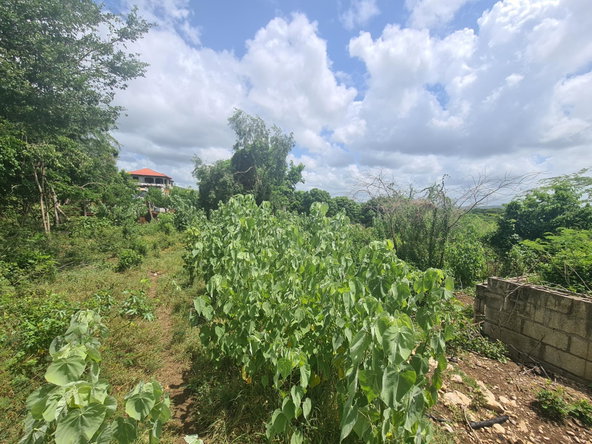 Twenty-Seventh image of 111 Rosehall Boulevard in Freetown, Clarendon, Jamaica - property is For Sale