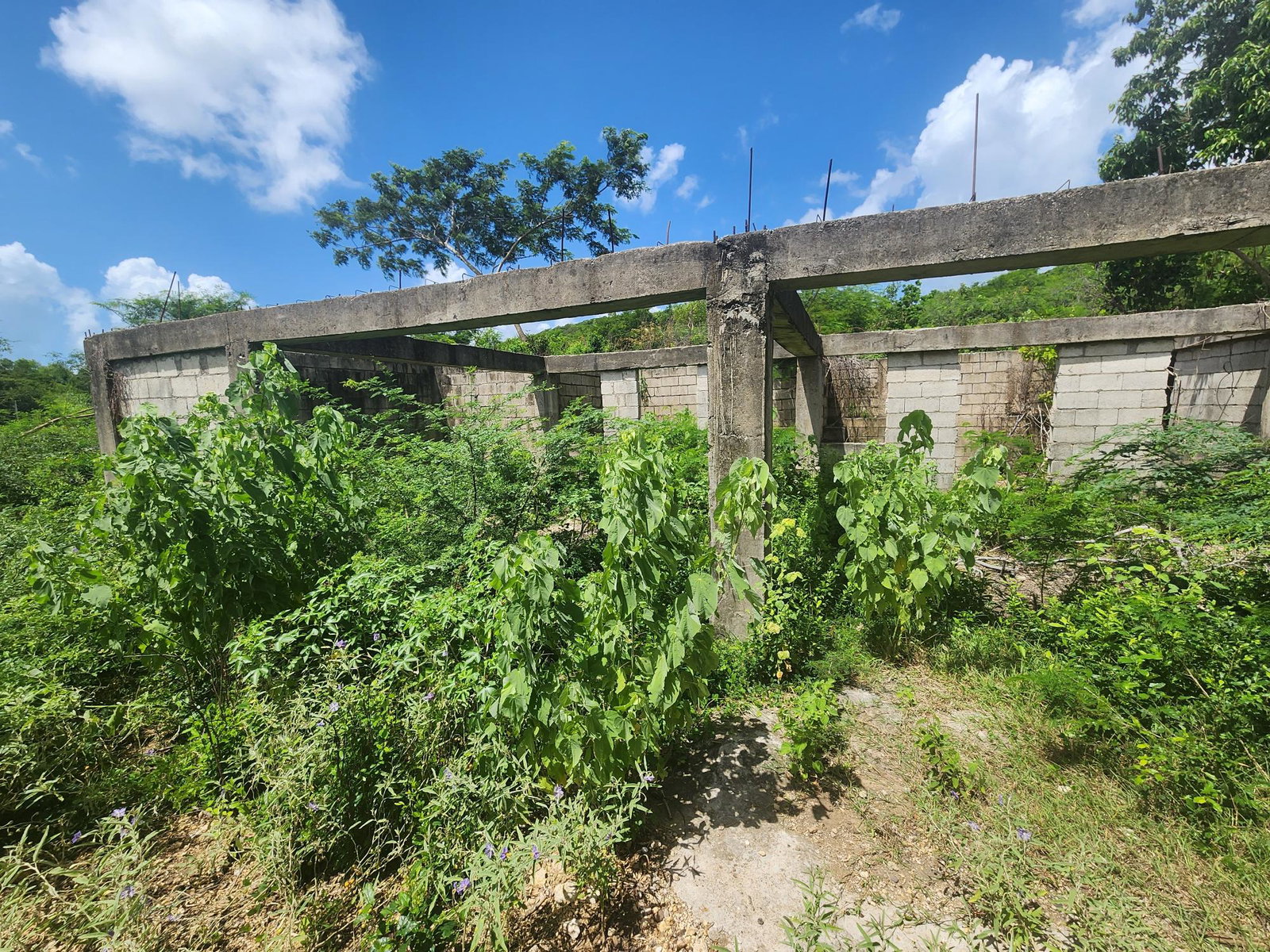 Dream-Home-Opportunity-in-Rosehall-Clarendon-34-Acre-Lot-for-Sale Fourth image of 111 Rosehall Boulevard in Freetown, Clarendon, Jamaica - property is For Sale