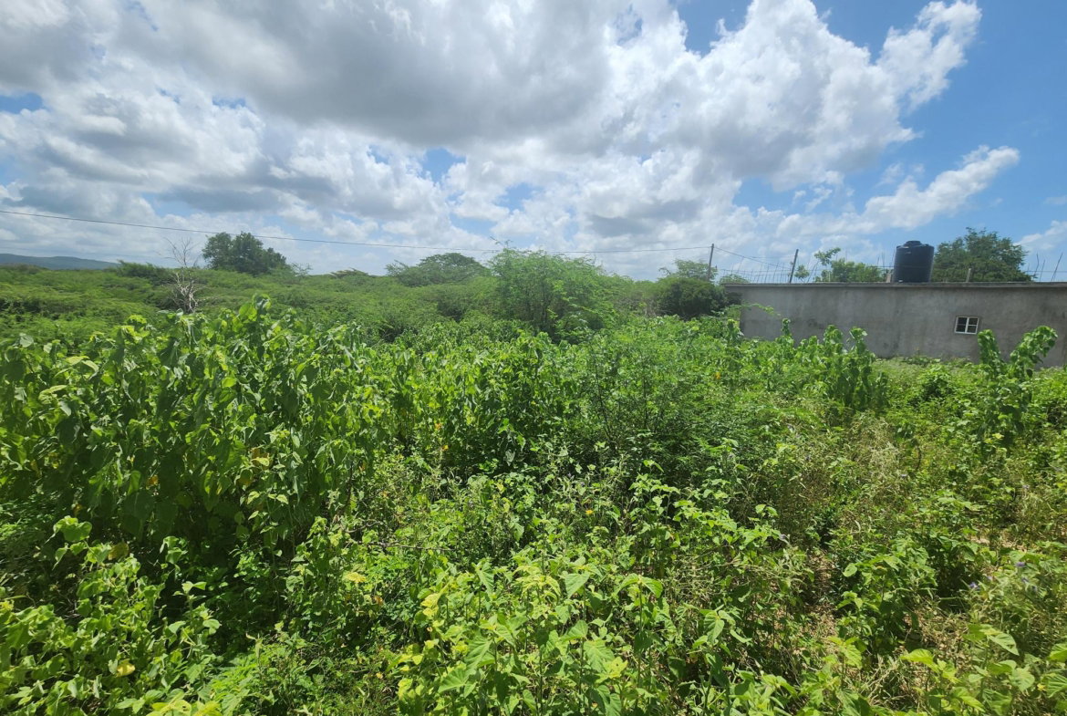 Fifth image of 111 Rosehall Boulevard in Freetown, Clarendon, Jamaica - property is For Sale