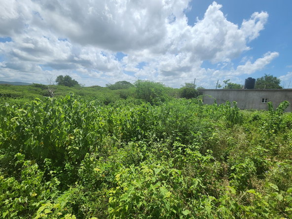 Fifth image of 111 Rosehall Boulevard in Freetown, Clarendon, Jamaica - property is For Sale