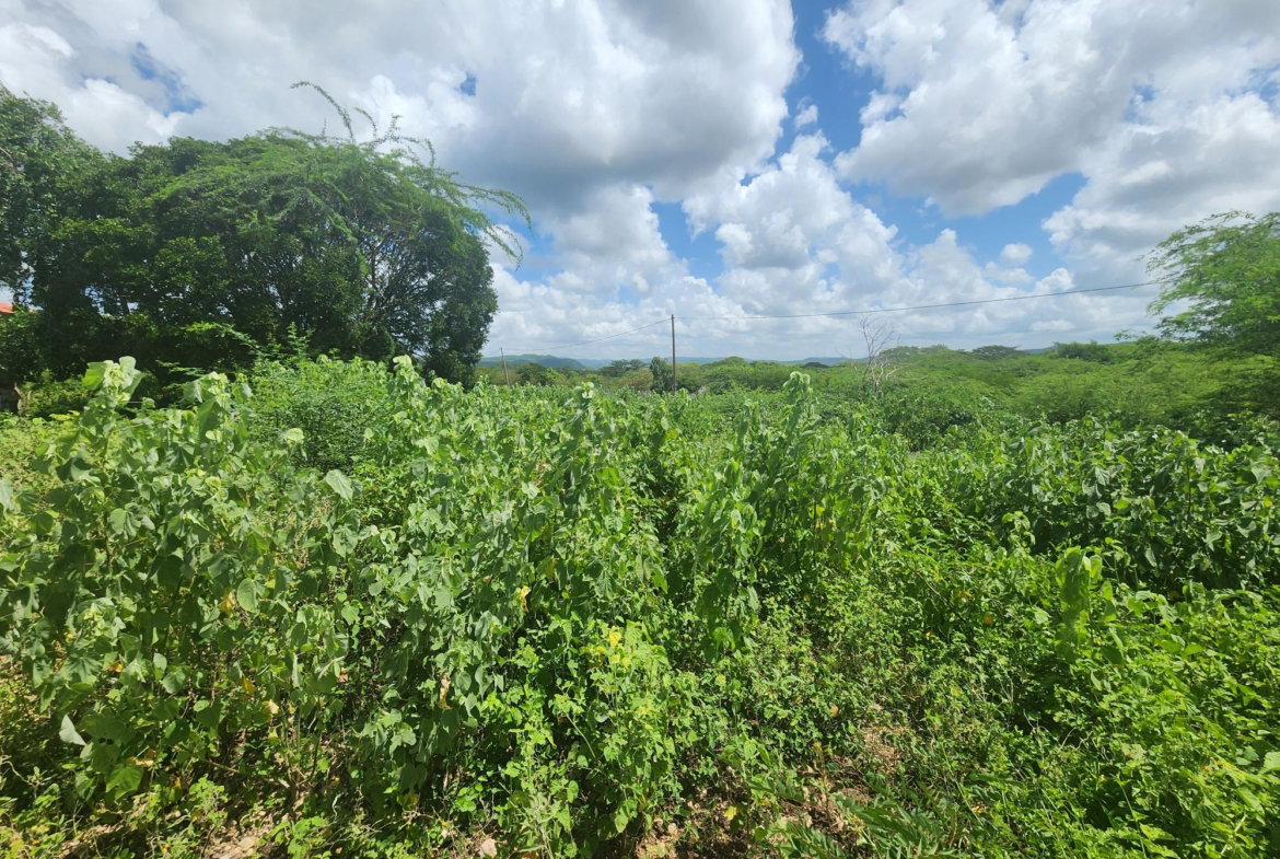 Seventh image of 111 Rosehall Boulevard in Freetown, Clarendon, Jamaica - property is For Sale
