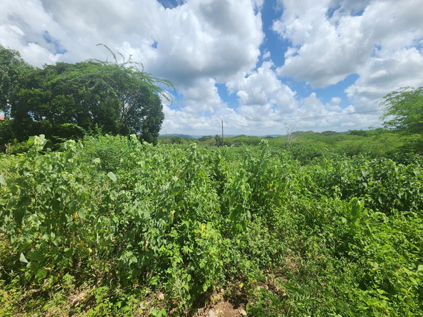 Seventh image of 111 Rosehall Boulevard in Freetown, Clarendon, Jamaica - property is For Sale