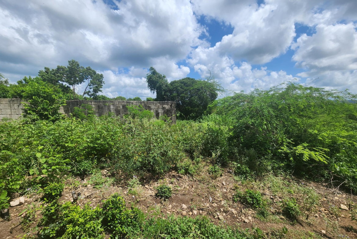 Tenth image of 111 Rosehall Boulevard in Freetown, Clarendon, Jamaica - property is For Sale