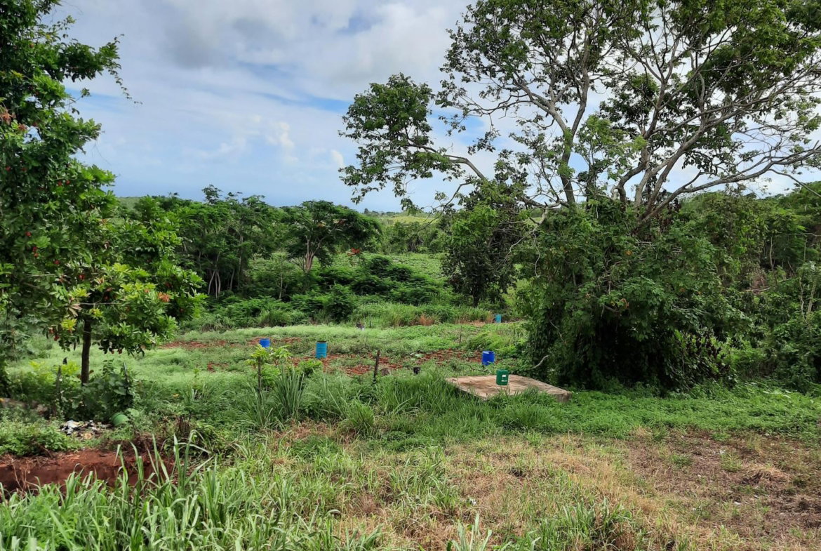 Second image of Warwick in Cross Keys, Manchester, Jamaica - property is For Sale