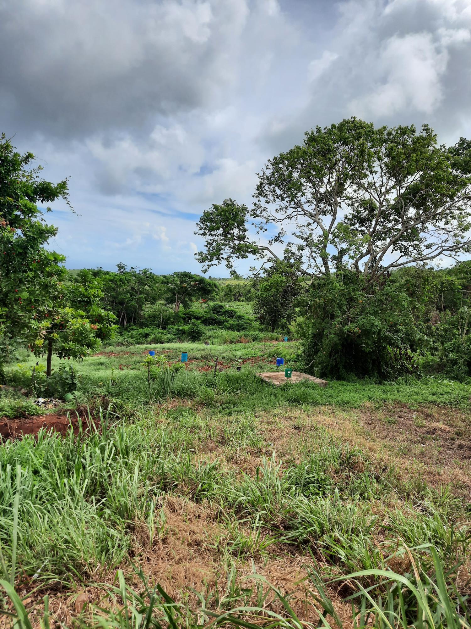 Second image of Warwick in Cross Keys, Manchester, Jamaica - property is For Sale