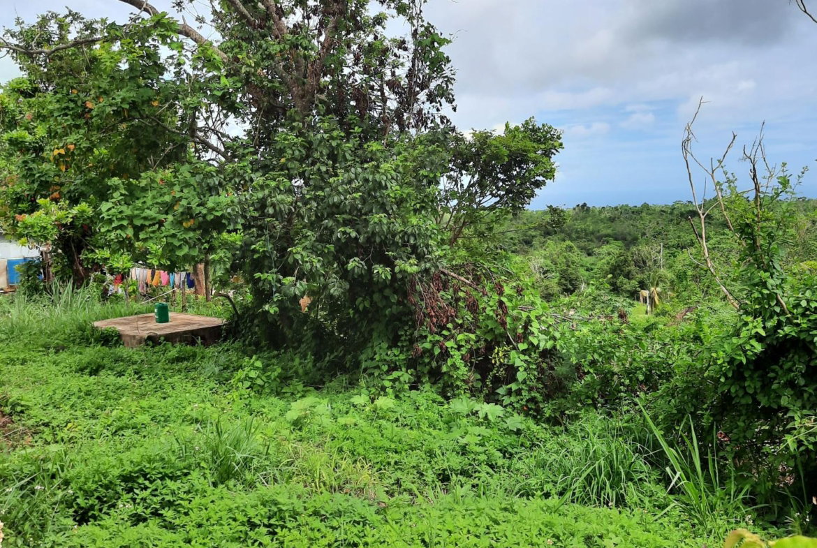 Twelfth image of Warwick in Cross Keys, Manchester, Jamaica - property is For Sale