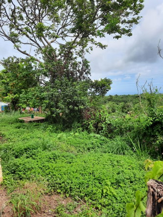 Twelfth image of Warwick in Cross Keys, Manchester, Jamaica - property is For Sale