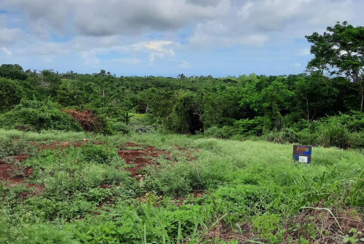 First image of Warwick in Cross Keys, Manchester, Jamaica - property is For Sale