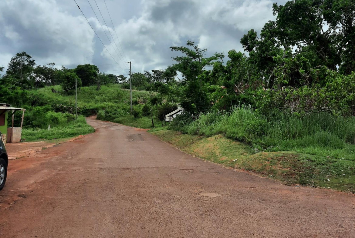 Fifteenth image of Warwick in Cross Keys, Manchester, Jamaica - property is For Sale