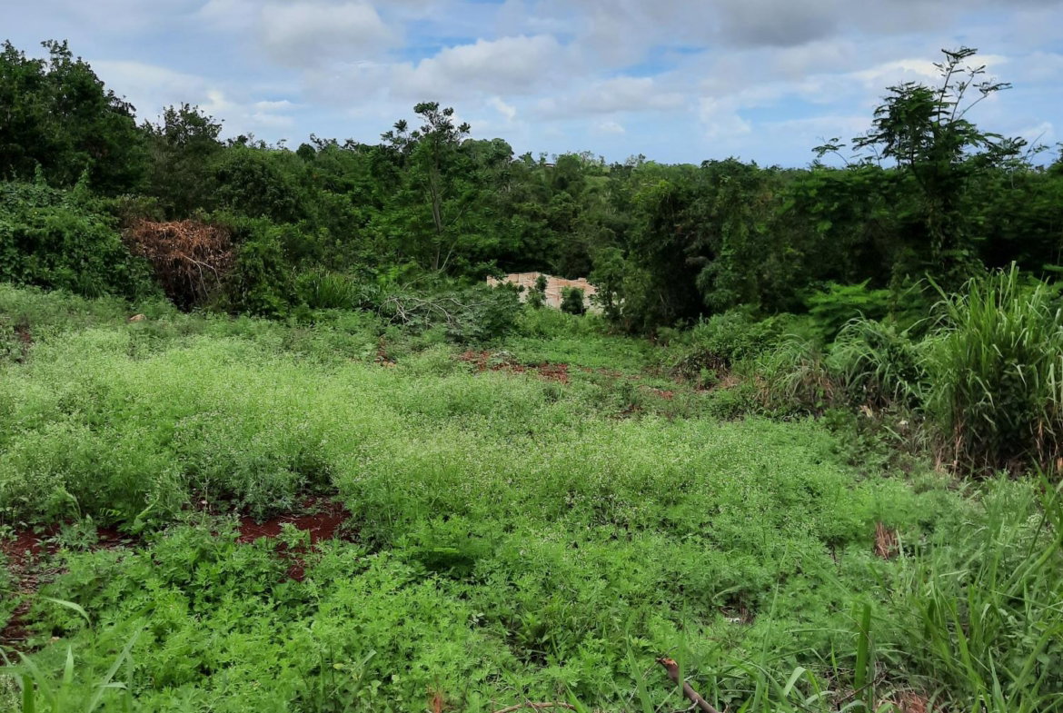 Third image of Warwick in Cross Keys, Manchester, Jamaica - property is For Sale