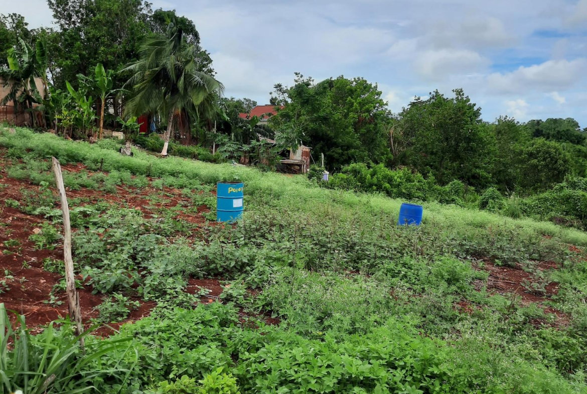 Fourth image of Warwick in Cross Keys, Manchester, Jamaica - property is For Sale