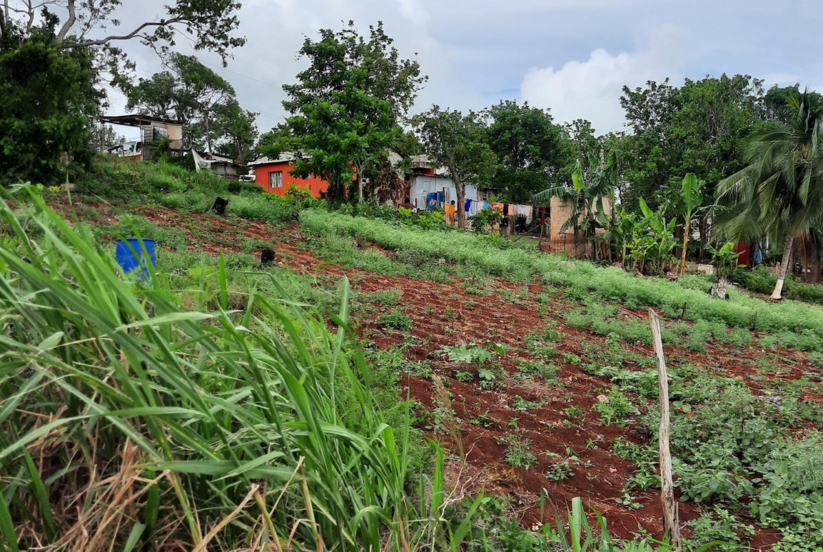 Fifth image of Warwick in Cross Keys, Manchester, Jamaica - property is For Sale