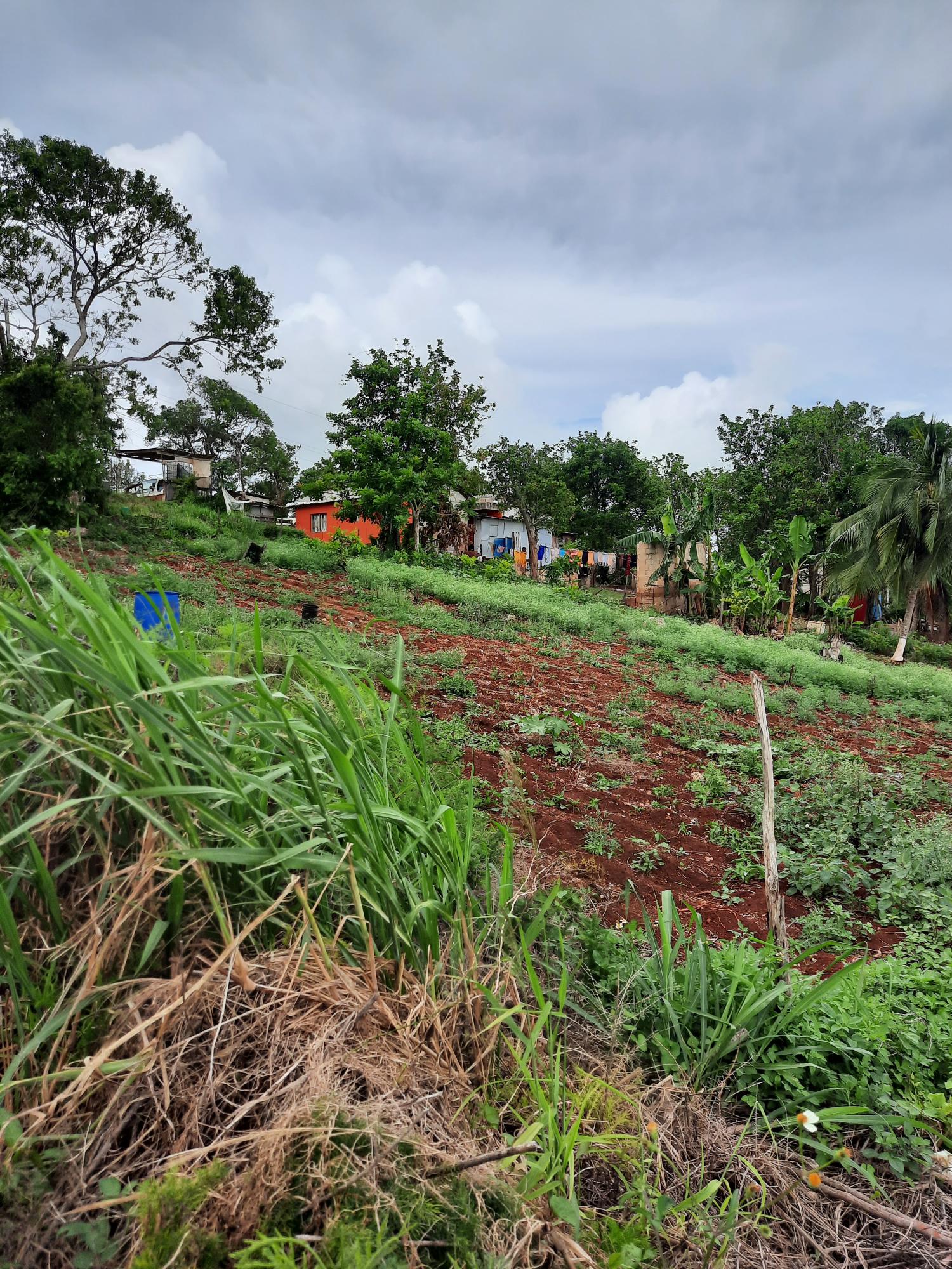 Fifth image of Warwick in Cross Keys, Manchester, Jamaica - property is For Sale