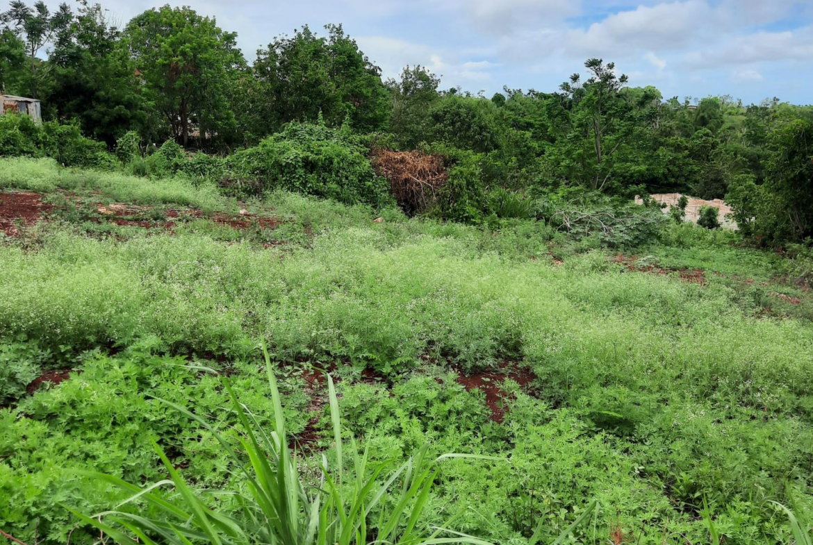 Sixth image of Warwick in Cross Keys, Manchester, Jamaica - property is For Sale