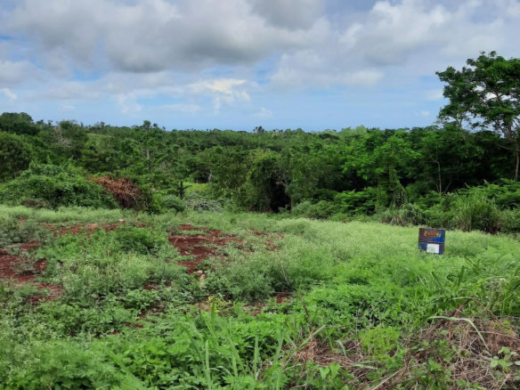 First image of Warwick in Cross Keys, Manchester, Jamaica - property is For Sale