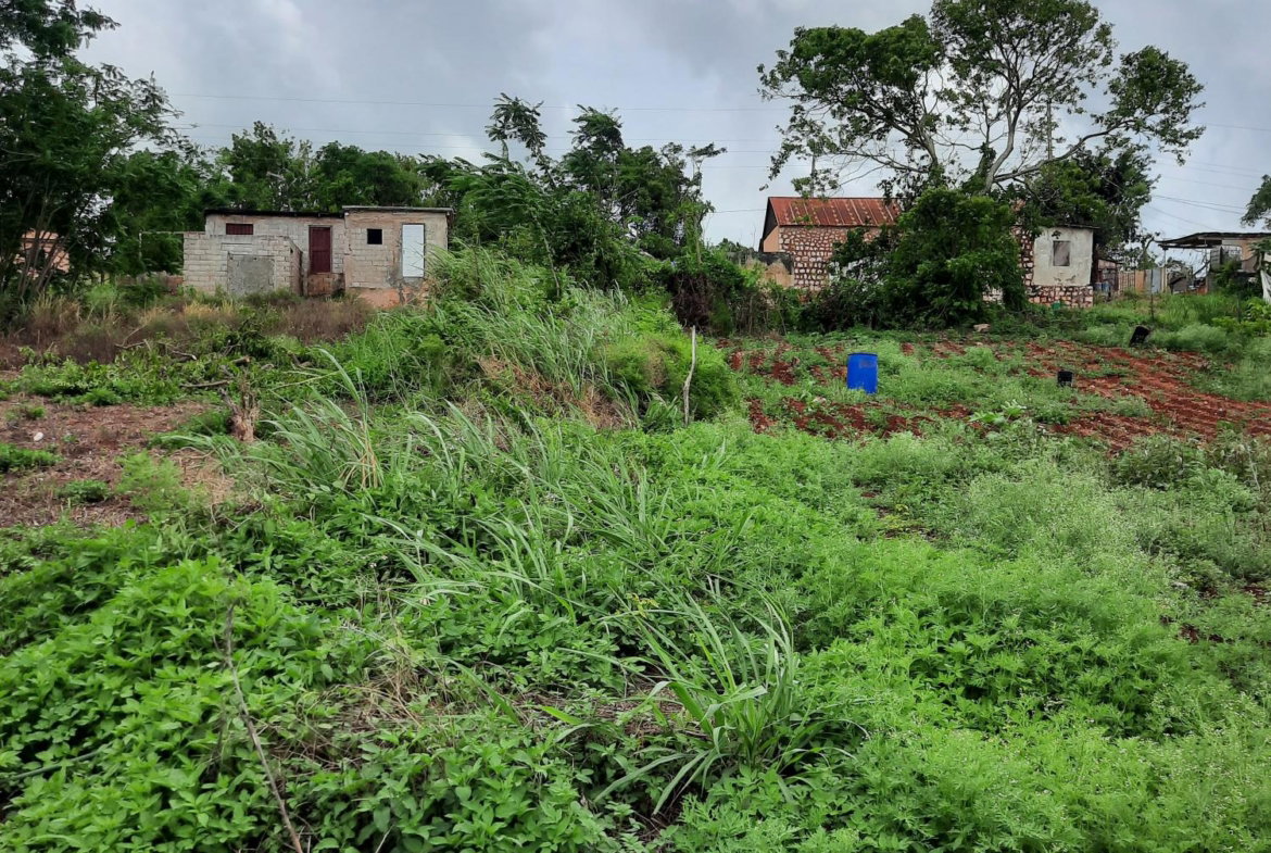 Seventh image of Warwick in Cross Keys, Manchester, Jamaica - property is For Sale