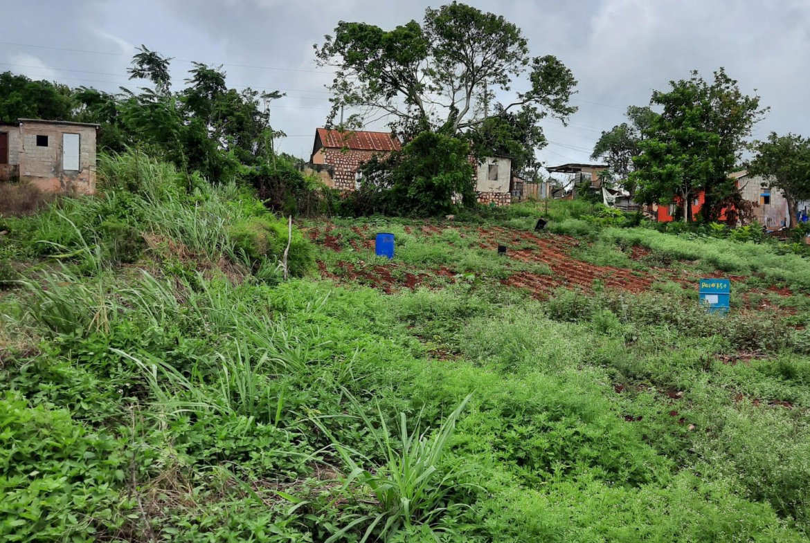 Eighth image of Warwick in Cross Keys, Manchester, Jamaica - property is For Sale