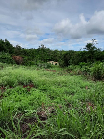 Ninth image of Warwick in Cross Keys, Manchester, Jamaica - property is For Sale