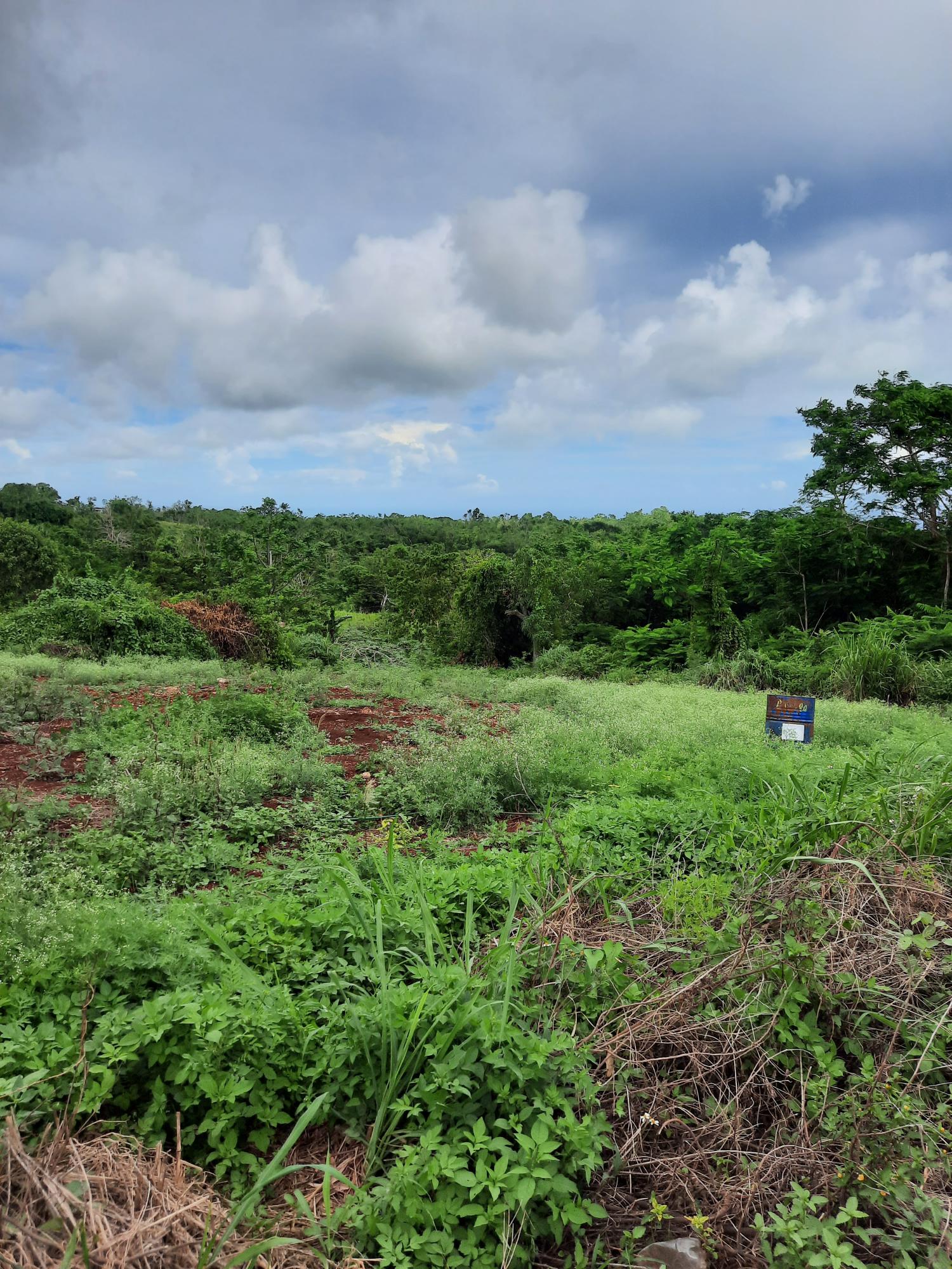 First image of Warwick in Cross Keys, Manchester, Jamaica - property is For Sale