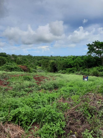 First image of Warwick in Cross Keys, Manchester, Jamaica - property is For Sale