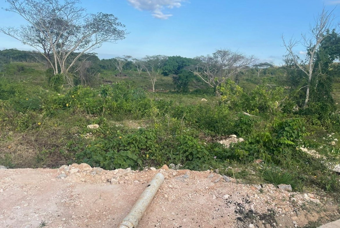 Thirteenth image of 76a Greenpark Subdivision in Falmouth, Trelawny, Jamaica - property is For Sale