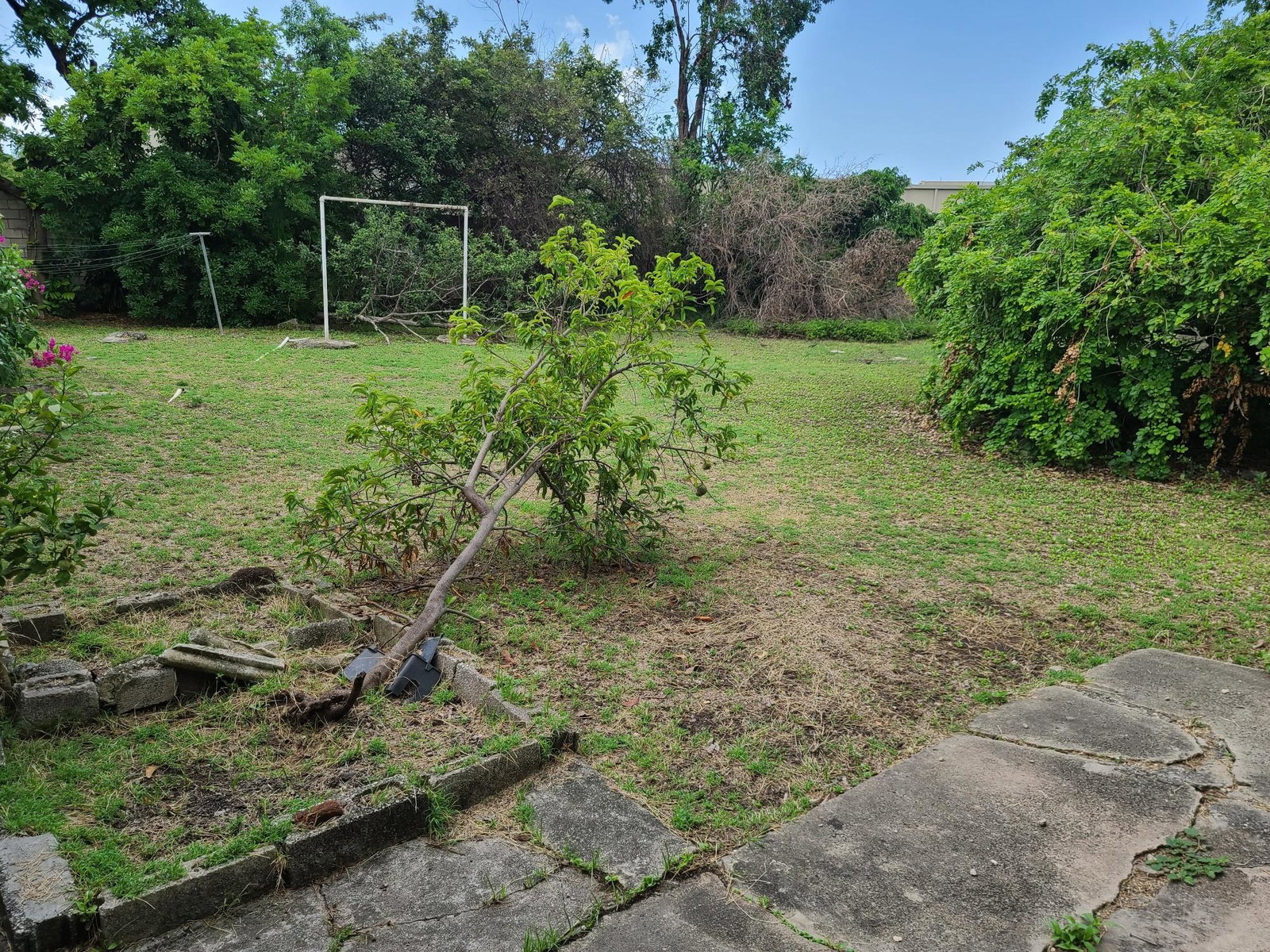 Fourth image of 2 Wiltshire Avenue in Kingston 6, St. Andrew, Jamaica - property is For Sale
