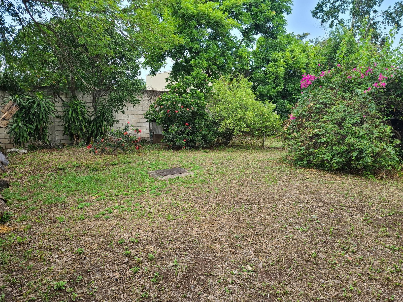 Sixth image of 2 Wiltshire Avenue in Kingston 6, St. Andrew, Jamaica - property is For Sale