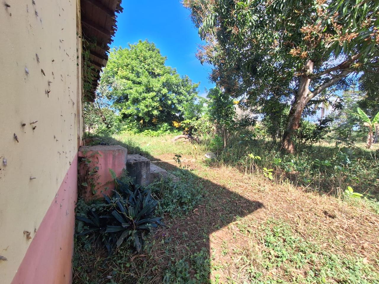 Fixer-Upper-Home-for-Sale-in-Santa-Cruz-Park-Jamaica Eleventh image of Santa Cruz Park in Santa Cruz, St. Elizabeth, Jamaica - property is For Sale