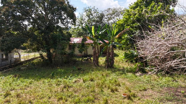 Nineteenth image of Santa Cruz Park in Santa Cruz, St. Elizabeth, Jamaica - property is For Sale