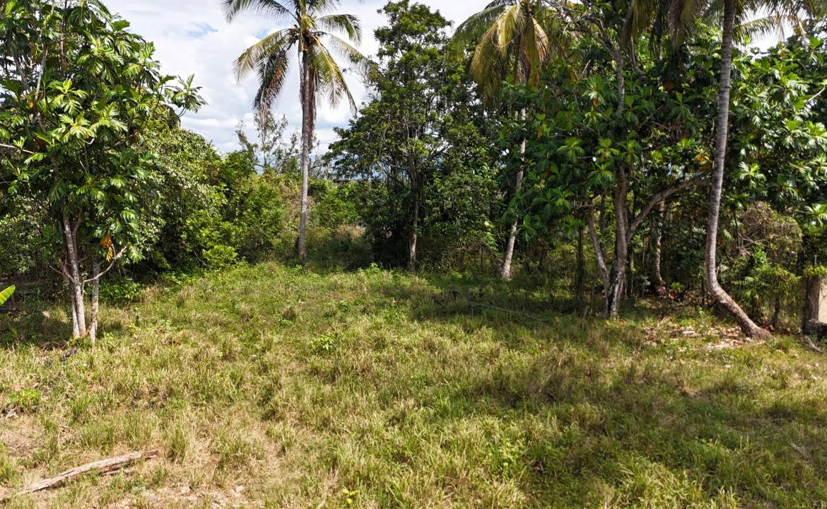 Twenty-First image of Santa Cruz Park in Santa Cruz, St. Elizabeth, Jamaica - property is For Sale