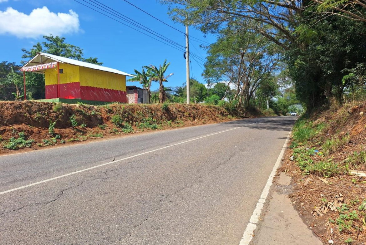 Twenty-Third image of Santa Cruz Park in Santa Cruz, St. Elizabeth, Jamaica - property is For Sale