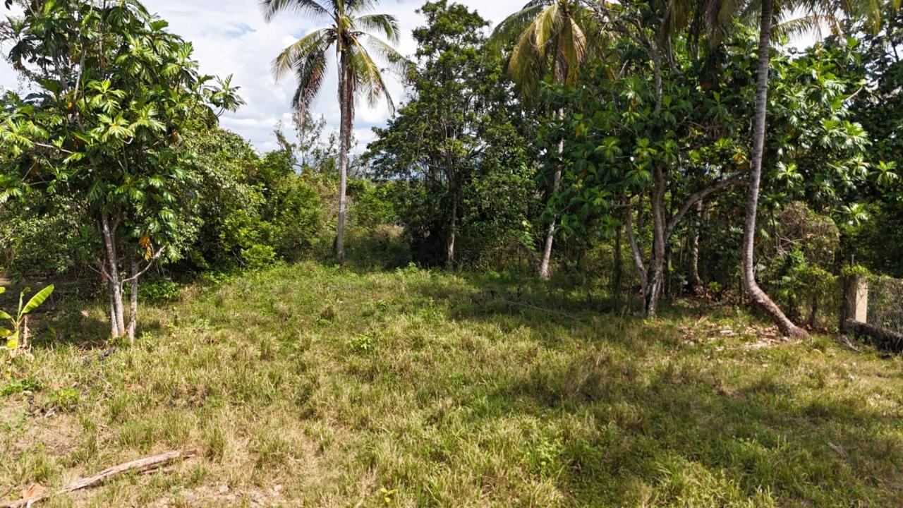 Fixer-Upper-Home-for-Sale-in-Santa-Cruz-Park-Jamaica Twenty-Fifth image of Santa Cruz Park in Santa Cruz, St. Elizabeth, Jamaica - property is For Sale