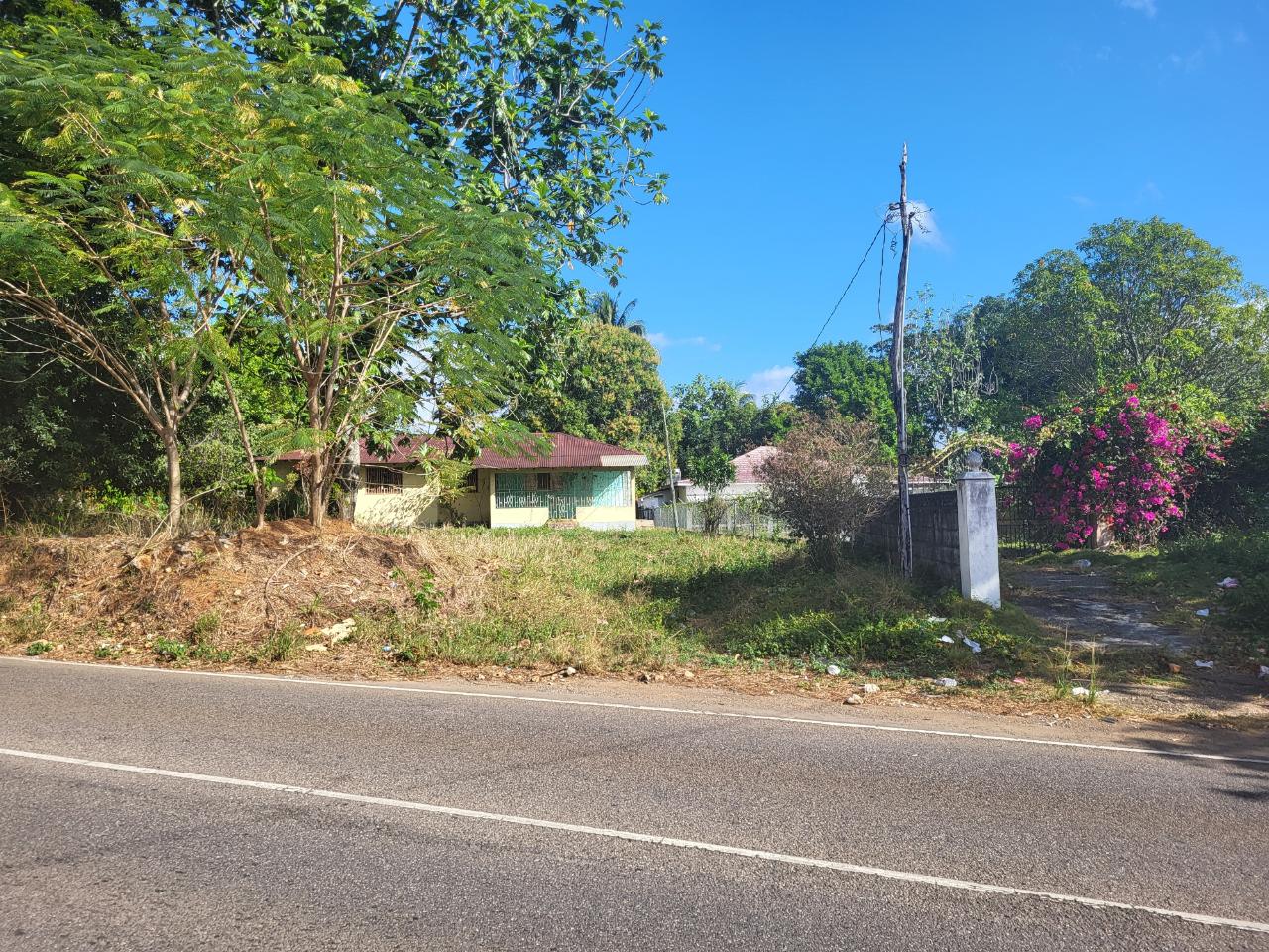 Fixer-Upper-Home-for-Sale-in-Santa-Cruz-Park-Jamaica First image of Santa Cruz Park in Santa Cruz, St. Elizabeth, Jamaica - property is For Sale