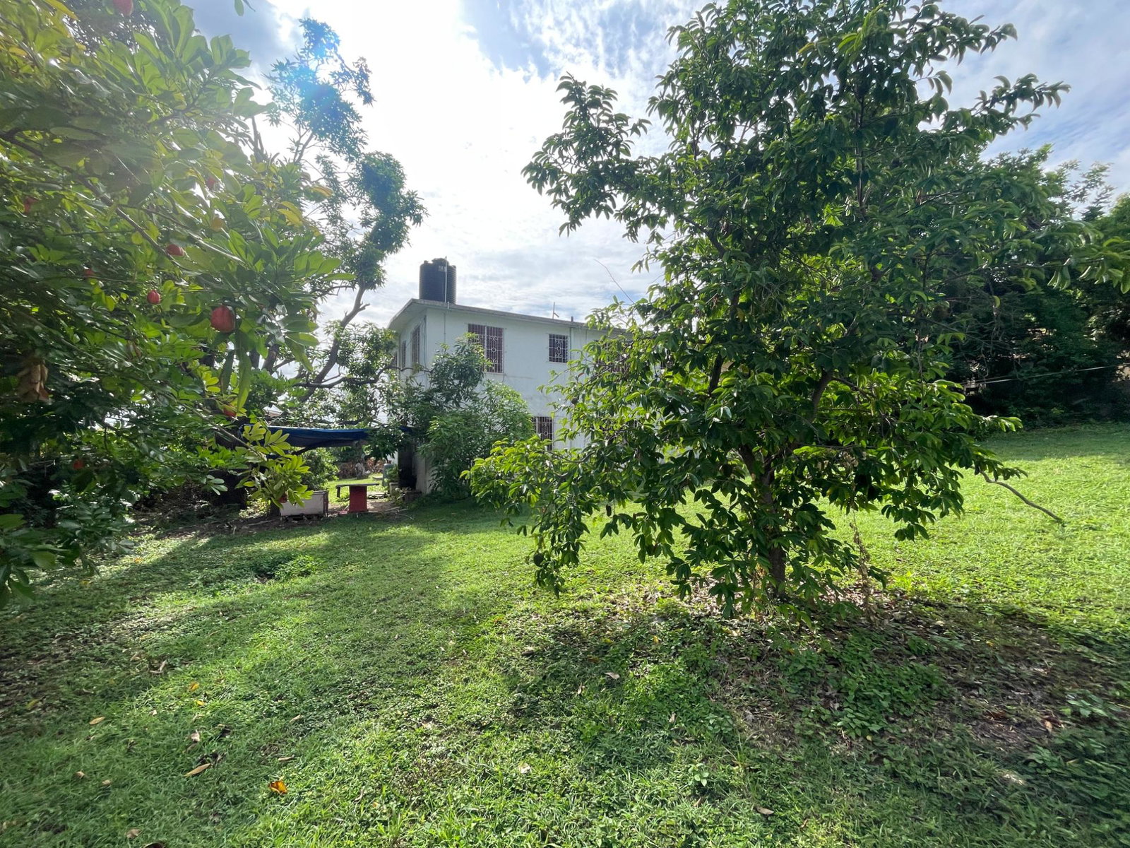 Twelfth image of Forsythe Drive in Hope Pastures, St. Andrew, Jamaica - property is For Sale