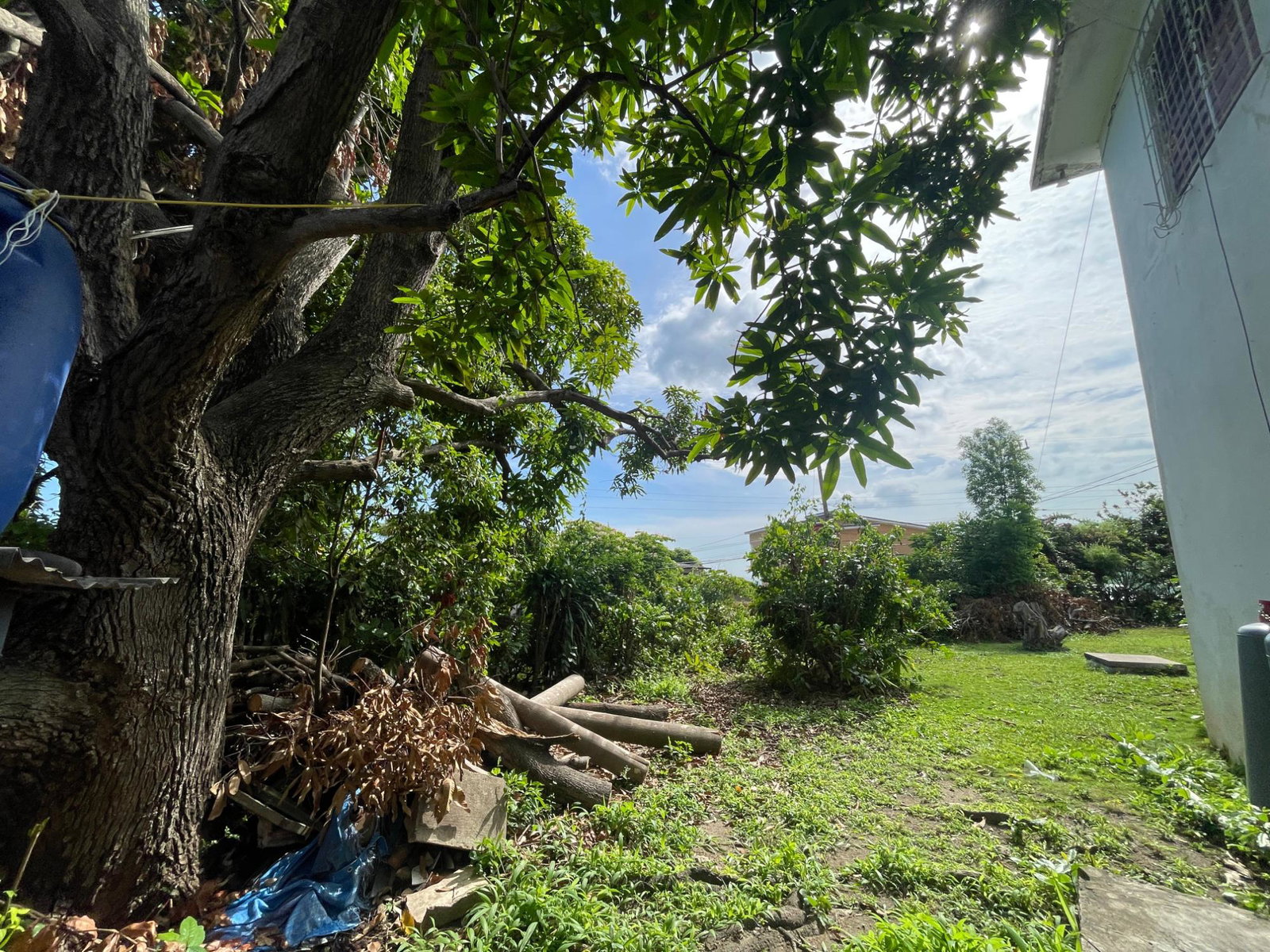 Ninth image of Forsythe Drive in Hope Pastures, St. Andrew, Jamaica - property is For Sale