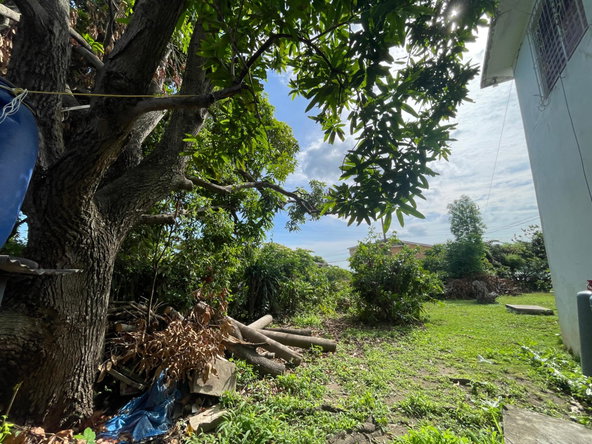 Ninth image of Forsythe Drive in Hope Pastures, St. Andrew, Jamaica - property is For Sale