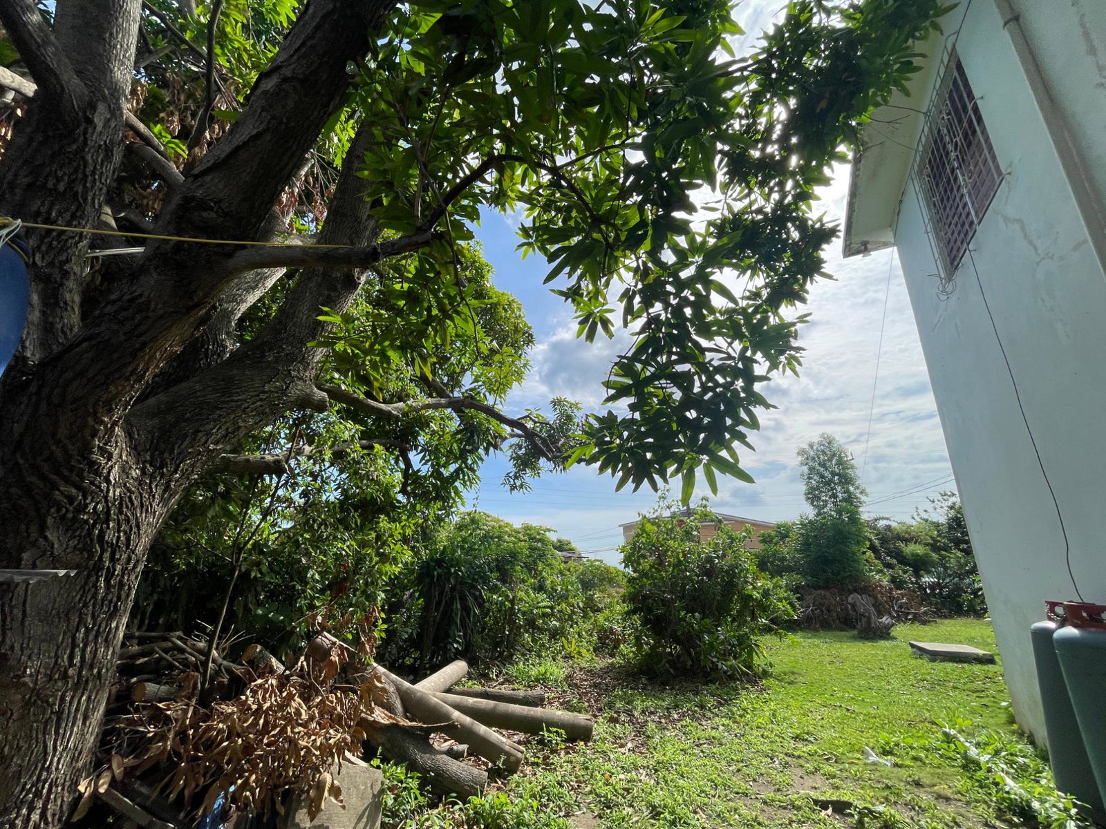 Tenth image of Forsythe Drive in Hope Pastures, St. Andrew, Jamaica - property is For Sale