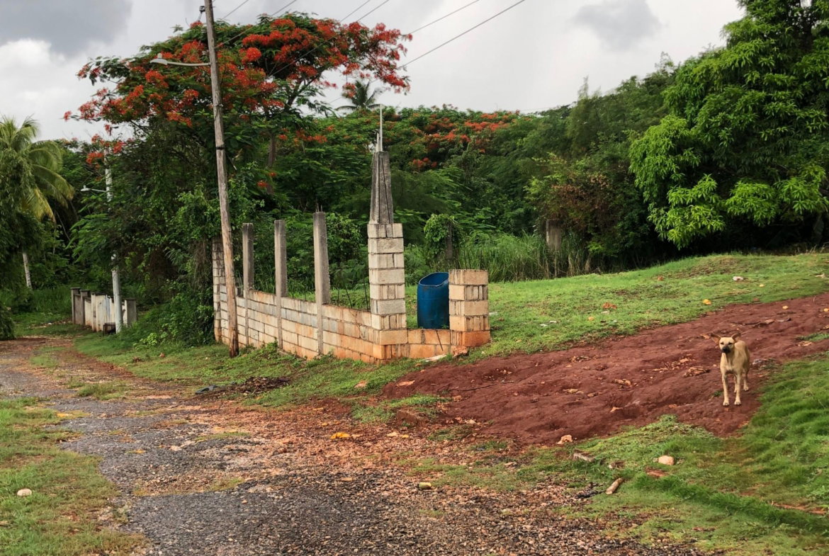 Seventh image of Lot 49 Golden View in KITSON TOWN, St. Catherine, Jamaica - property is For Sale