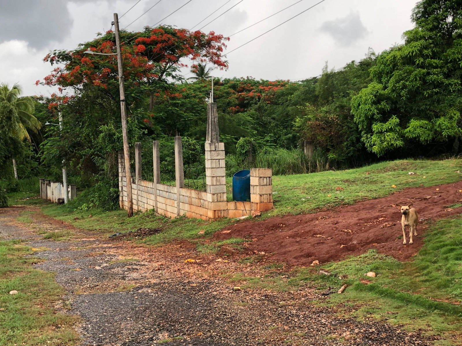 Seventh image of Lot 49 Golden View in KITSON TOWN, St. Catherine, Jamaica - property is For Sale