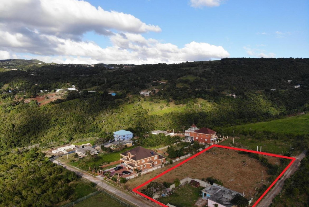 Second image of Eglington Spur Tree in Mandeville, Manchester, Jamaica - property is For Sale