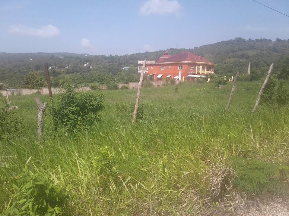 Eleventh image of Eglington Spur Tree in Mandeville, Manchester, Jamaica - property is For Sale