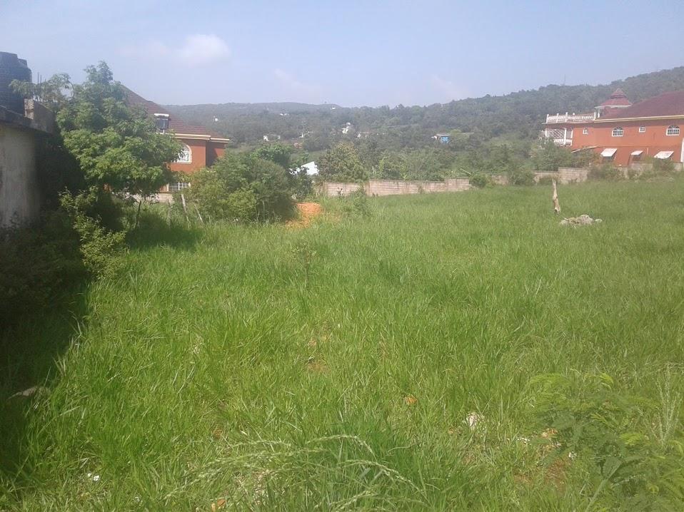 Twelfth image of Eglington Spur Tree in Mandeville, Manchester, Jamaica - property is For Sale