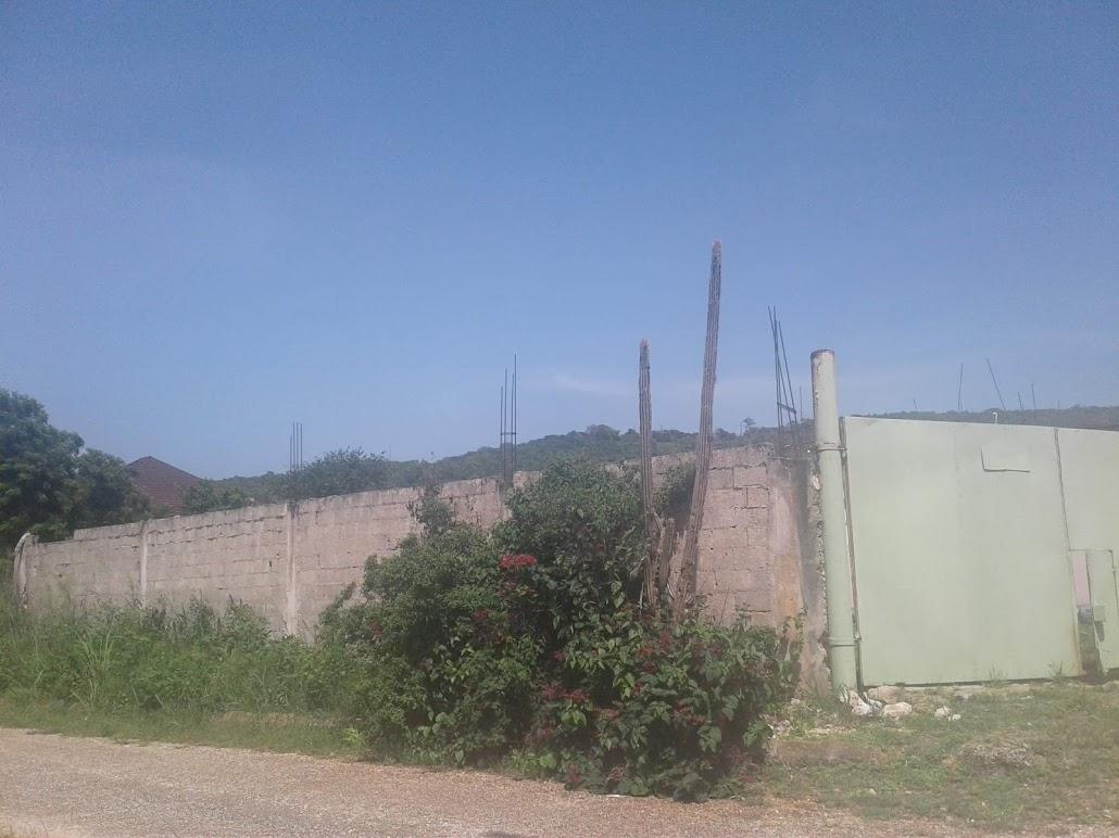 Fourteenth image of Eglington Spur Tree in Mandeville, Manchester, Jamaica - property is For Sale